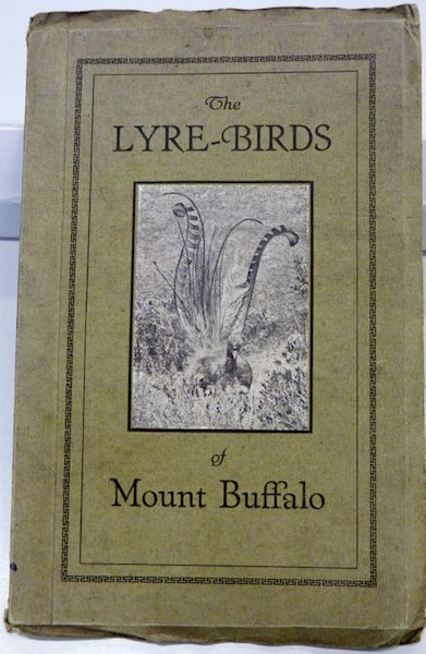 lyrebirds cover by Emma Gray Australian Museum