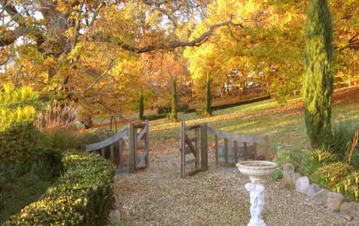 Chestnut-Gardens-Special-Event-Venue-Stanley-Victoria