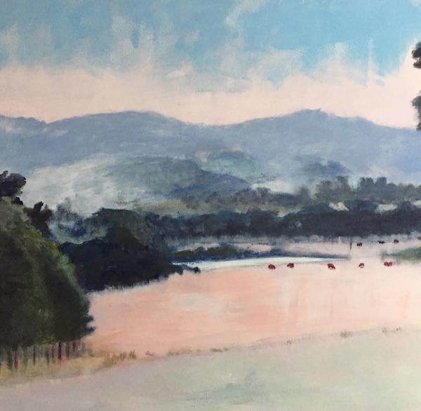 Meg Sprouster Jugiong early morning. copy